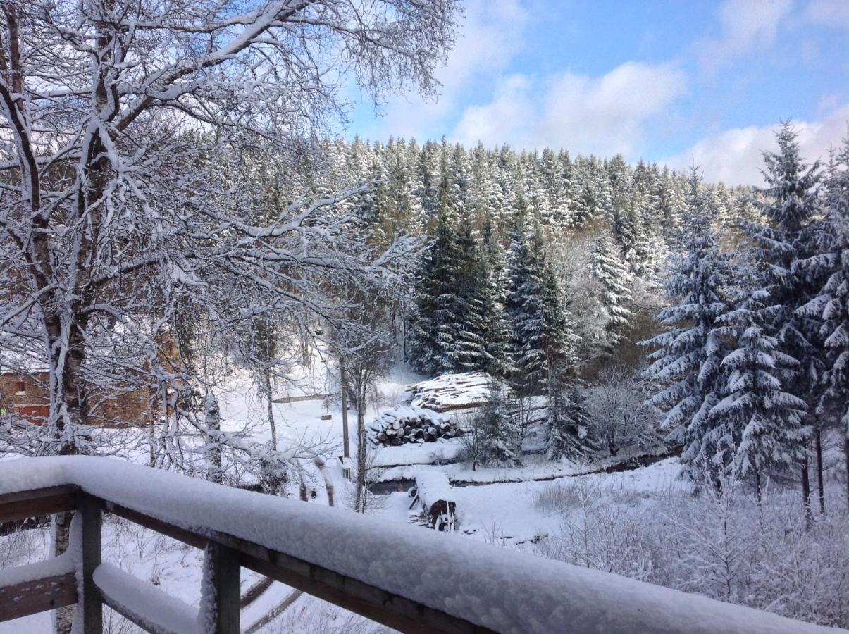 Le Nid Des Mesanges Villa Büllingen Eksteriør billede