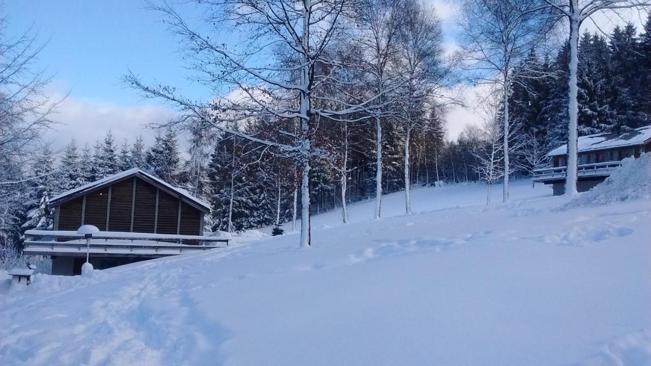 Le Nid Des Mesanges Villa Büllingen Eksteriør billede