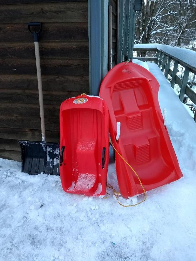 Le Nid Des Mesanges Villa Büllingen Eksteriør billede