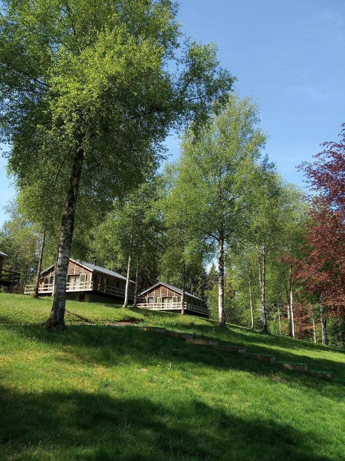 Le Nid Des Mesanges Villa Büllingen Eksteriør billede